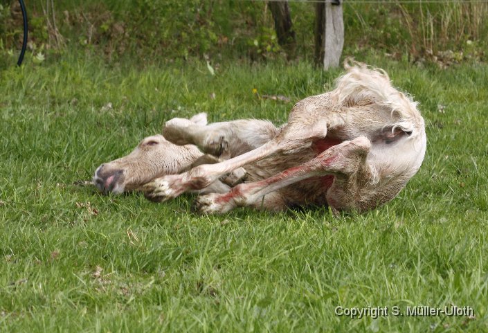 Hjoerdis 44 Min alt (2).JPG